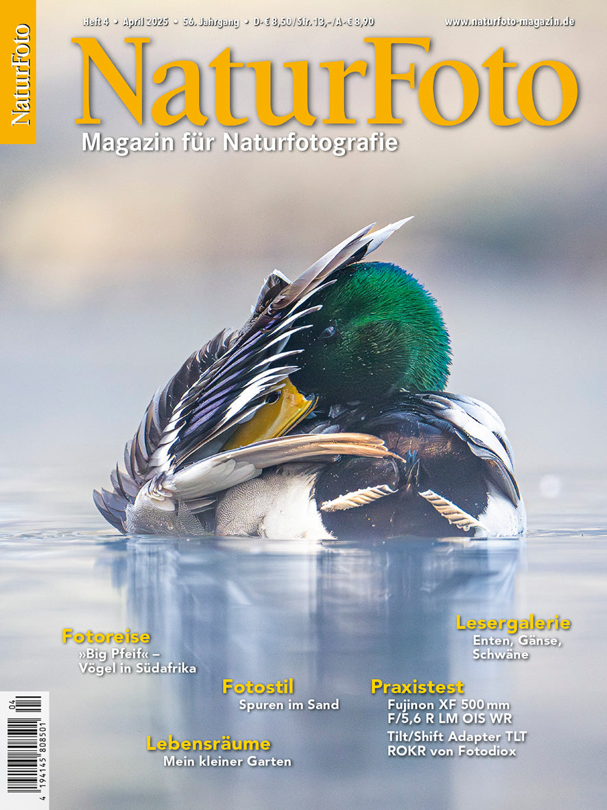 NaturFoto 4/2025